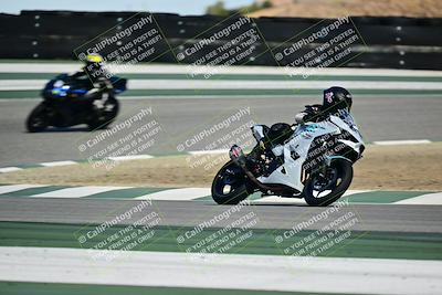 media/Oct-25-2025-2WTD (Sat) [[1e4a1f2fa2]]/C Group/Session 5 (Turn 2)/